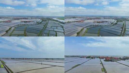 航拍水田4K视频高清在线视频素材下载