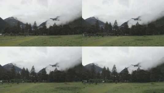 4k超清川西高原航拍湖泊牧场山谷牛群马匹高清在线视频素材下载