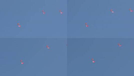 2025长春航展空军伞兵跳伞表演4倍慢镜高清在线视频素材下载