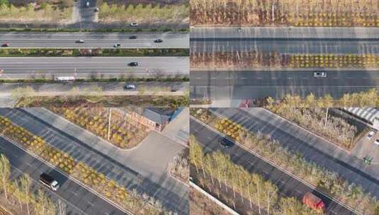道路绿化俯拍车流高清在线视频素材下载