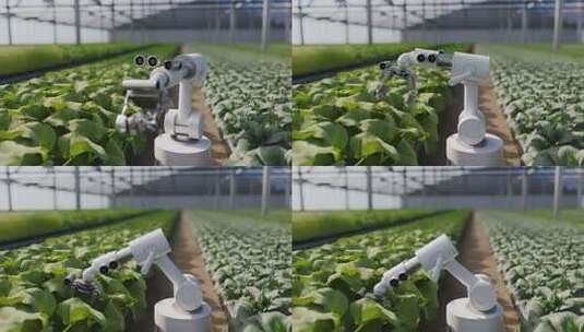 温室大棚内农业机器人作业高清在线视频素材下载