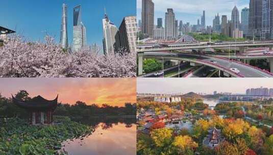 上海春夏秋冬 四季轮转高清在线视频素材下载
