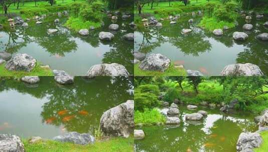 下雨雨天庭院锦鲤池塘唯美意境高清在线视频素材下载