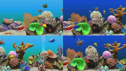 海底鱼水族馆鱼缸高清在线视频素材下载