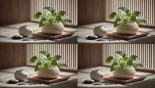 阳光下的日式禅意静物，营造宁静氛围高清在线视频素材下载