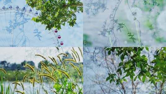 双重曝光树叶光影树荫自然清新夏天小暑夏至高清在线视频素材下载