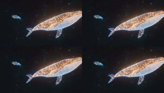 星空下粒子效果鲸鱼动画素材高清在线视频素材下载