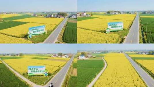 田野油菜花乡村公路航拍高清在线视频素材下载