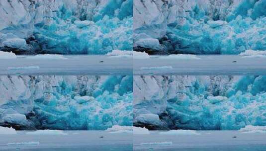 航拍海鸟飞翔冰川冰山浮冰唯美大自然高清在线视频素材下载