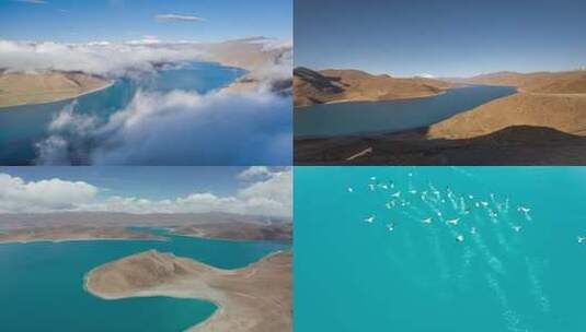 西藏羊湖高清在线视频素材下载