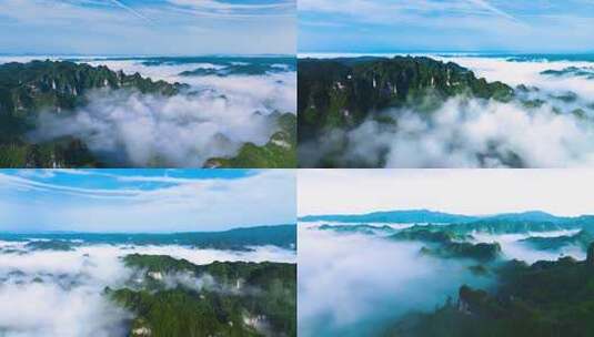自然风光 森林云海 生态环境高清在线视频素材下载