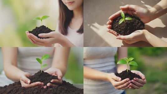 手捧树苗呵护成长高清在线视频素材下载