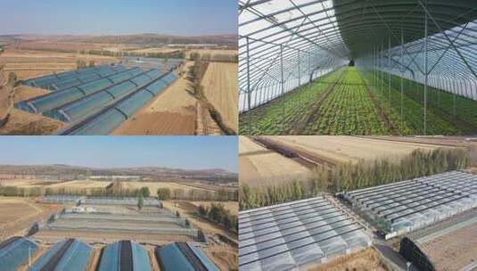 农田蔬菜大棚航拍景象高清在线视频素材下载