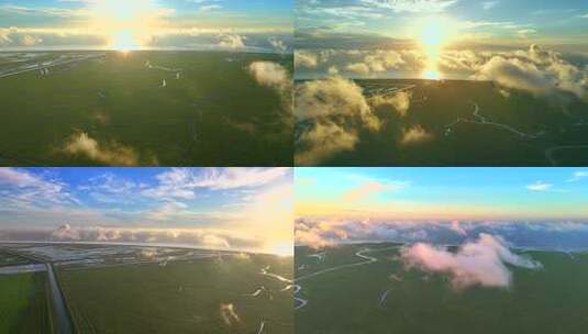 崇明岛 东滩湿地日出高清在线视频素材下载