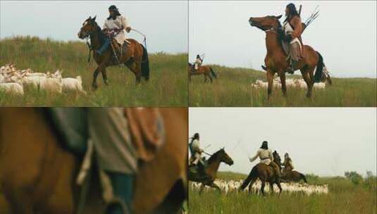 牧民放养场景高清在线视频素材下载