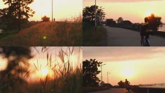 傍晚江边河边的夕阳景色4k视频素材高清在线视频素材下载