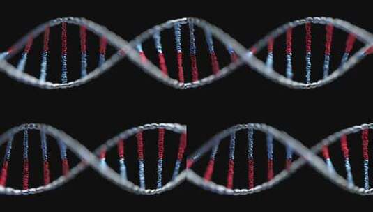红色和蓝色DNA链-科学概念背景4K高清在线视频素材下载