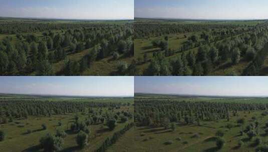 内蒙古生态修复土地复垦高清在线视频素材下载