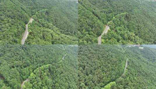 森林公路航拍山路树林道路俯拍林间道路风景高清在线视频素材下载