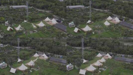 帐篷营地花海花园公园高清在线视频素材下载