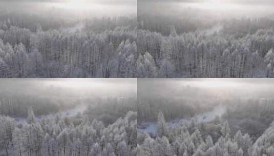 林海雪原雾凇暖阳高清在线视频素材下载