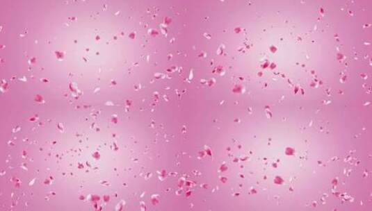 4K粉色浪漫花瓣舞台循环高清在线视频素材下载