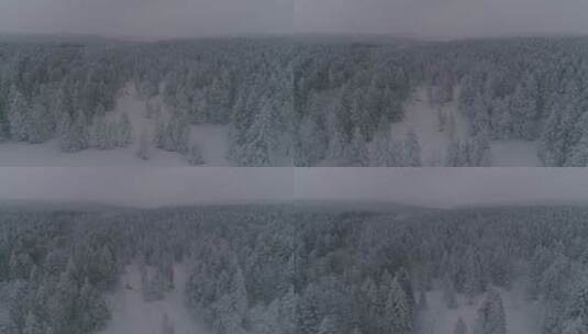 唯美冬季长白山老里克湖原始森林航拍高清在线视频素材下载