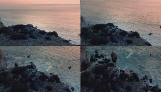 悬崖边拿着冲浪板的情侣高清在线视频素材下载