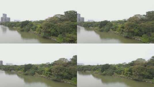 城市生态湿地高清在线视频素材下载