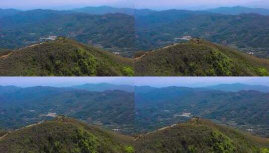 春天里清明时节杜鹃映山红花开高清在线视频素材下载