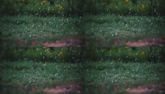 雨和草坪高清在线视频素材下载