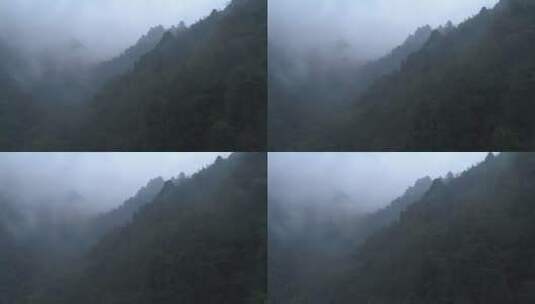 迷雾山林航拍高清在线视频素材下载