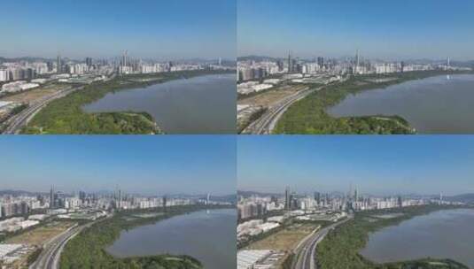 【正版4K素材】深圳湾湿地公园高清在线视频素材下载