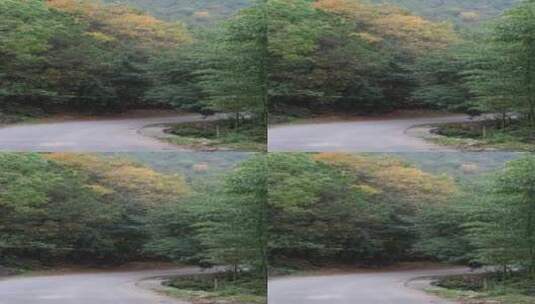 秋天山中的道路高清在线视频素材下载