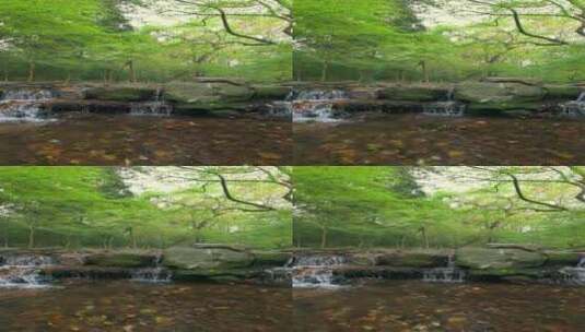 杭州九溪瀑布流水溪流秋季枫叶高清在线视频素材下载