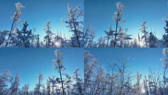 寒冬航拍大兴安岭森林银装素裹林海雪原高清在线视频素材下载