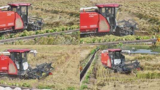 航拍农村田野收割小麦收割机运输高清在线视频素材下载