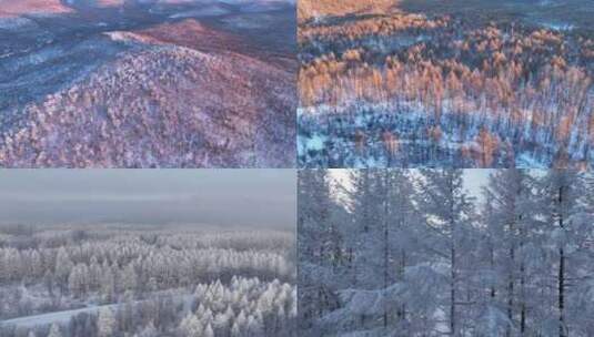 大兴安岭冬季林海雪原风光合集高清在线视频素材下载
