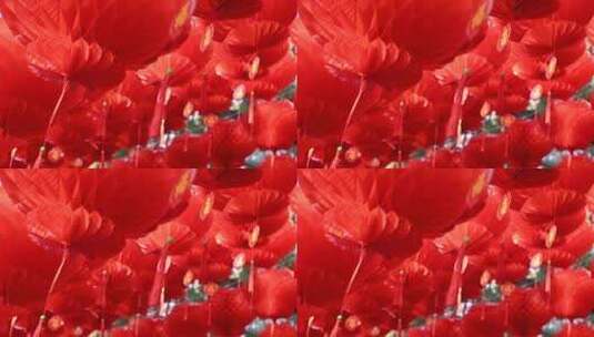 北京地坛春节文化庙会悬挂节日红灯笼高清在线视频素材下载