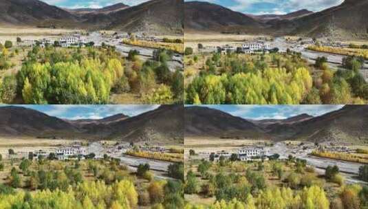 西藏农村秋天景色高清在线视频素材下载