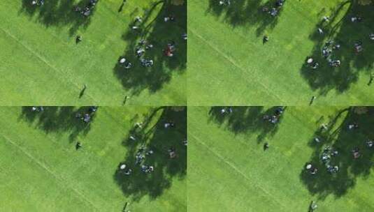 苏州大学草坪航拍（正上方草坪上的影子）高清在线视频素材下载