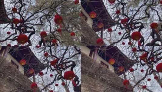 过年古树古建筑红灯笼装饰新年气氛8高清在线视频素材下载