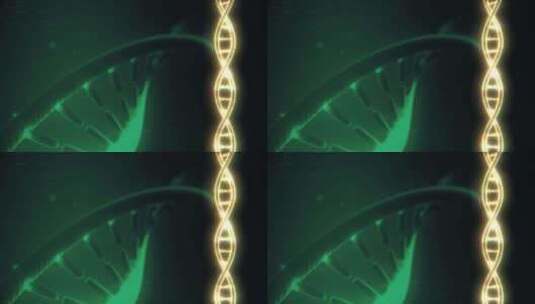 DNA修复基因工程生命技术高清在线视频素材下载