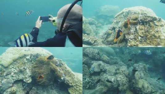 三亚 海底世界高清在线视频素材下载