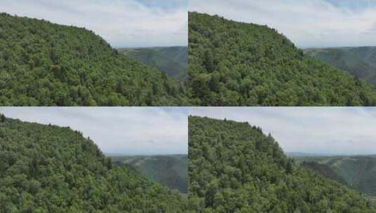 森林 青山绿水 天然氧吧高清在线视频素材下载