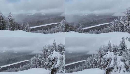 雪中的山脉和森林高清在线视频素材下载