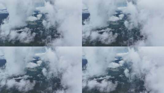 海南乐东县尖峰岭国家森林公园热带雨林高清在线视频素材下载