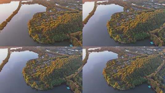 浙江杭州西湖杨公堤清晨日出秋季高空航拍高清在线视频素材下载