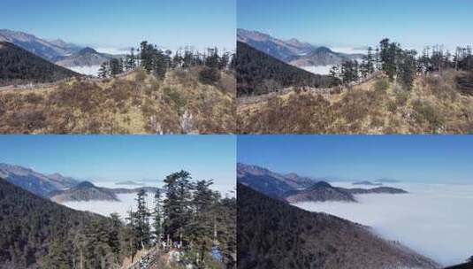 西岭雪山 雪景 大雪覆盖的自然风光 航拍高清在线视频素材下载