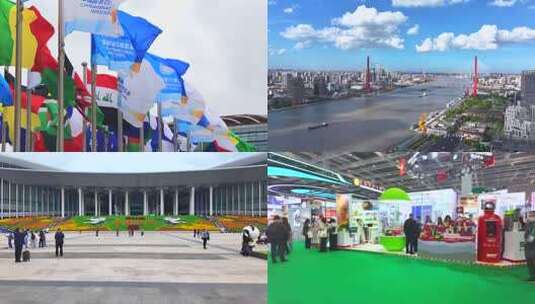 2025上海进博会 上海 第八届进博会高清在线视频素材下载